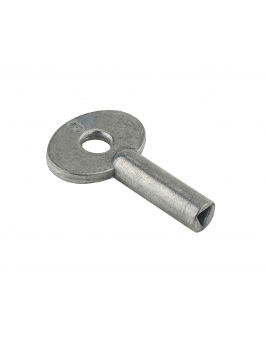 Clé pour Cadenas de Consignation triangulaire 5 mm 00010000
