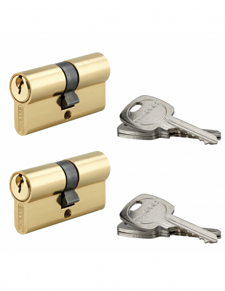 Cylindre STD Laiton pour Serrure - 3 clés 00216260