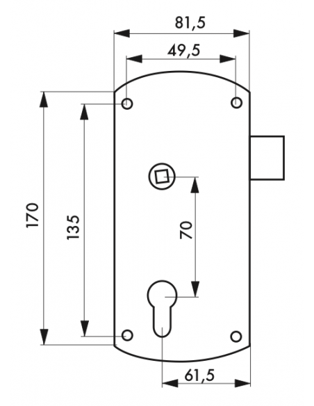 Boîtier Serrure en applique pour portail extérieur 00513944