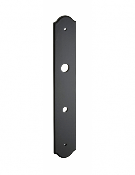 Poignée de porte d'entrée PLAQUE DE PROPRETE 00404400