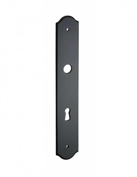 Poignée de porte d'entrée PLAQUE DE PROPRETE 00404400