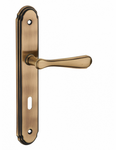 Poignée sur plaque ARTHEMIS 00543350