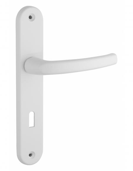 Poignée sur plaque SULTANE - blanche / inox F9 / argent F1 / noire 00590400