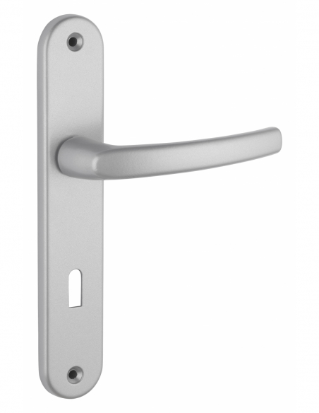 Poignée sur plaque SULTANE - blanche / inox F9 / argent F1 / noire 00590400