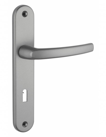 Poignée sur plaque SULTANE - blanche / inox F9 / argent F1 / noire 00590400