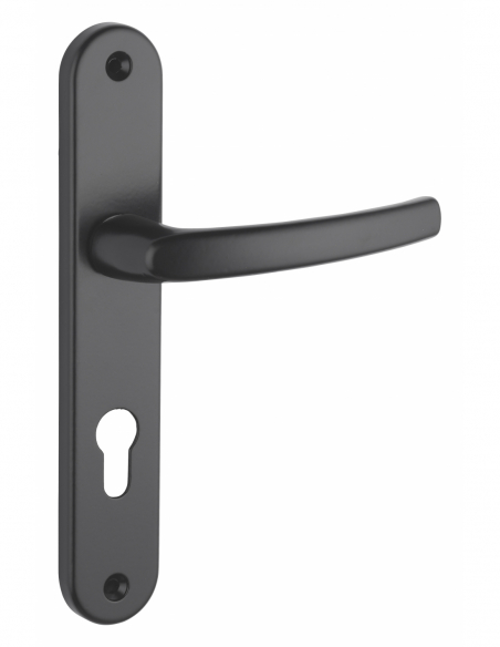 Poignée sur plaque SULTANE - blanche / inox F9 / argent F1 / noire 00590400