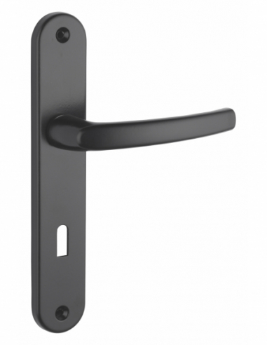 Poignée sur plaque SULTANE - blanche / inox F9 / argent F1 / noire 00590400