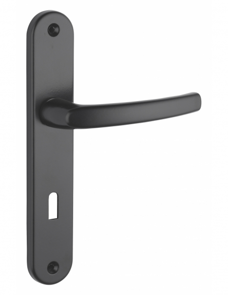 Poignée sur plaque SULTANE - blanche / inox F9 / argent F1 / noire 00590400