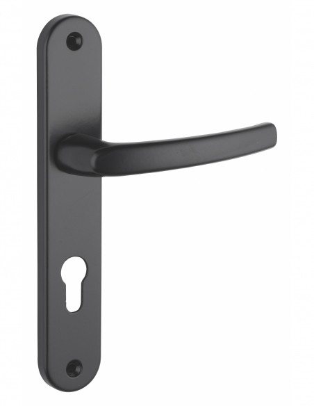 Poignée sur plaque SULTANE - blanche / inox F9 / argent F1 / noire 00590400