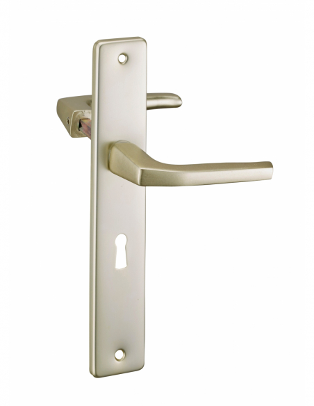 Poignée de porte d'entrée BEQUILLE DOUBLE 00203470