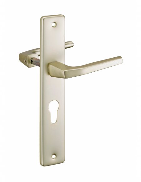 Poignée de porte d'entrée BEQUILLE DOUBLE 00203470