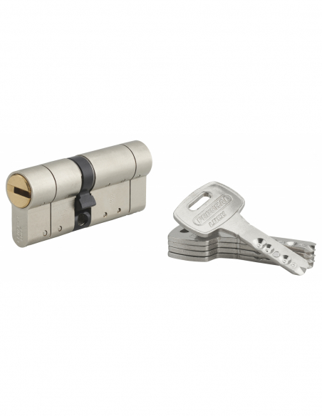 Cylindre 5 clés magnétiques - FEDERAL S 00203730