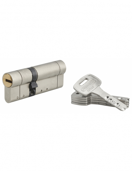 Cylindre 5 clés magnétiques - FEDERAL S 00203730