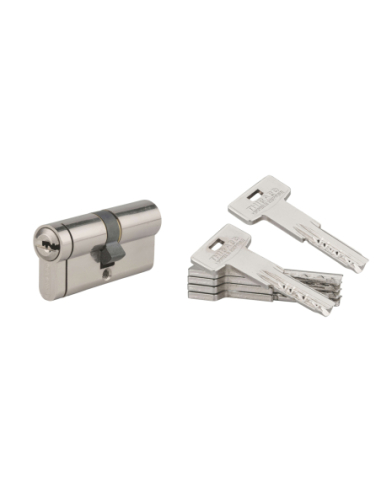 Cylindre TAURUS nickelé 5 clés + 1 clé chantier 00016759