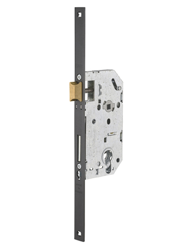 Boitier Serrure provisoire axe 50 mm têtière 320mm 00902522