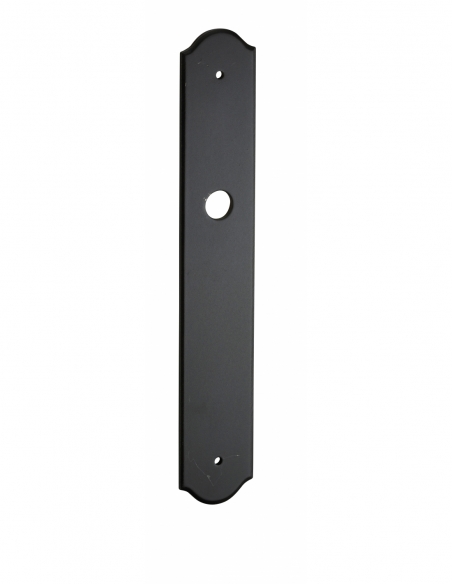 Poignée de porte d'entrée PLAQUE DE PROPRETE 00404400