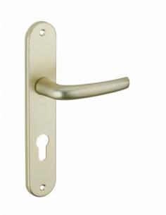 Poignée de porte intérieure MAIA trou de cylindre couleur F2 00990207