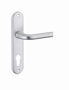 Poignée de porte intérieure LETO trou de cylindre argent 00590193