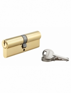 Cylindre de Serrure 45 x 45 mm 3 clés 00116192