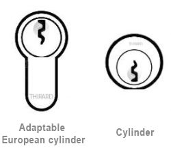 Cylindre européen