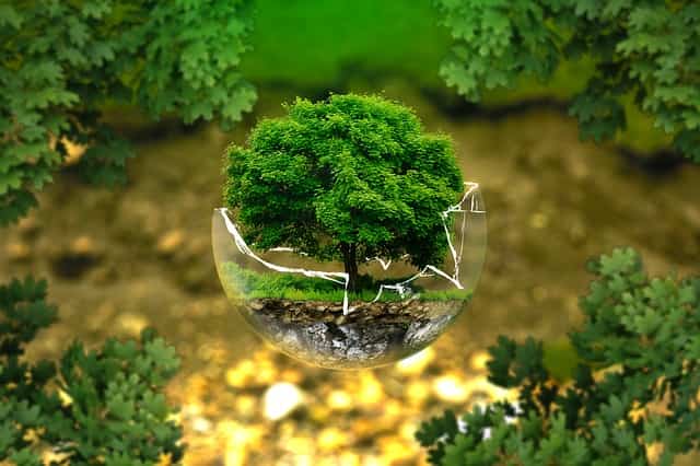 THIRARD ECOLOGIE